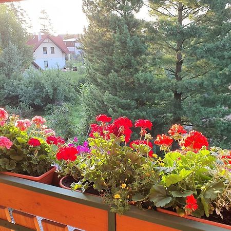 Chalet Chata Tereza By Interhome Stará Lesná Εξωτερικό φωτογραφία