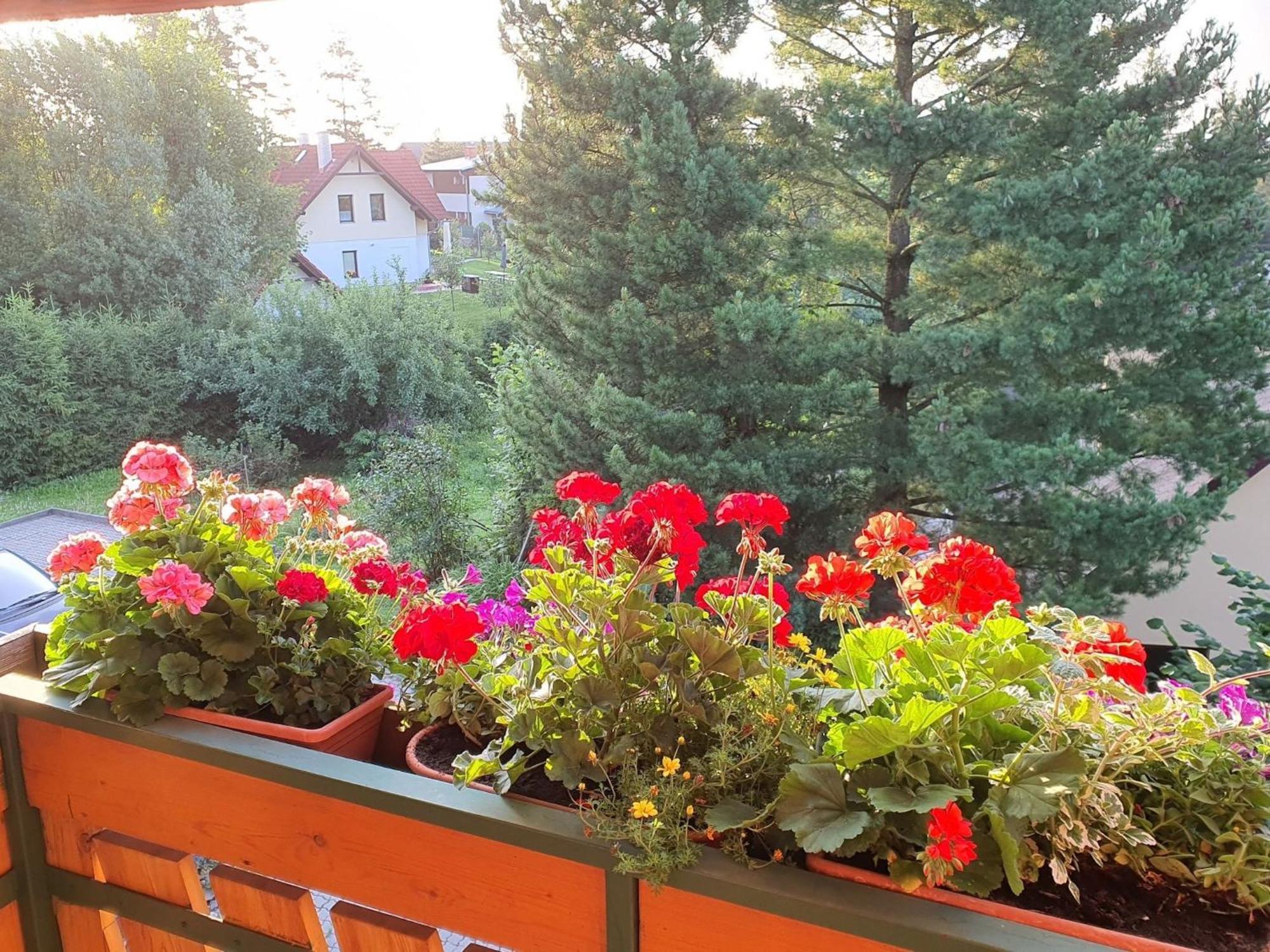 Chalet Chata Tereza By Interhome Stará Lesná Εξωτερικό φωτογραφία